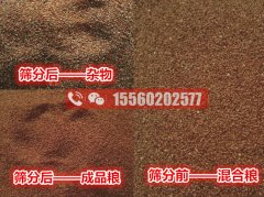 海藻籽里面的雜物應(yīng)該用啥機器清除？海藻籽比重風(fēng)選篩分機